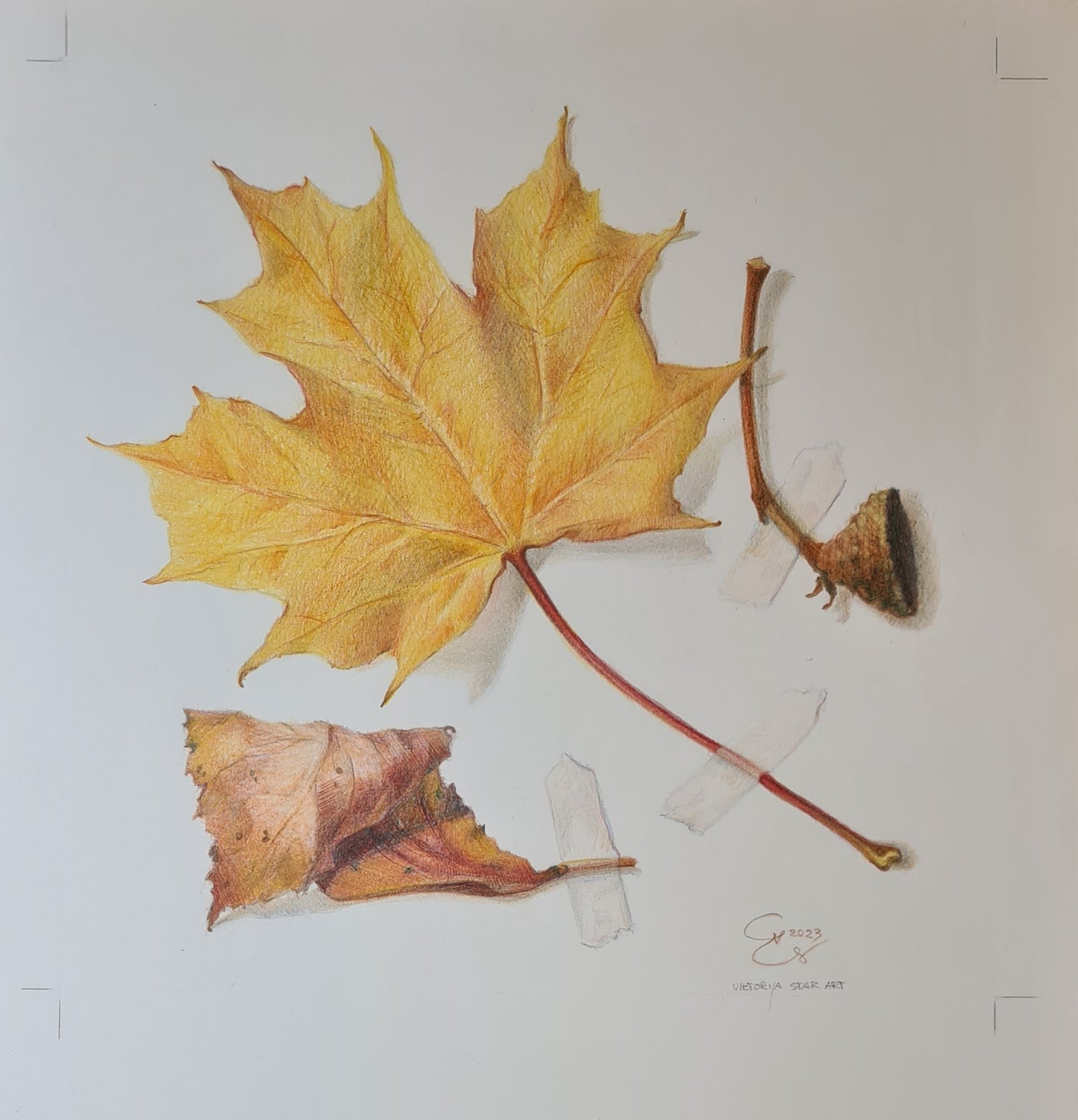 Custom colored pencil drawing