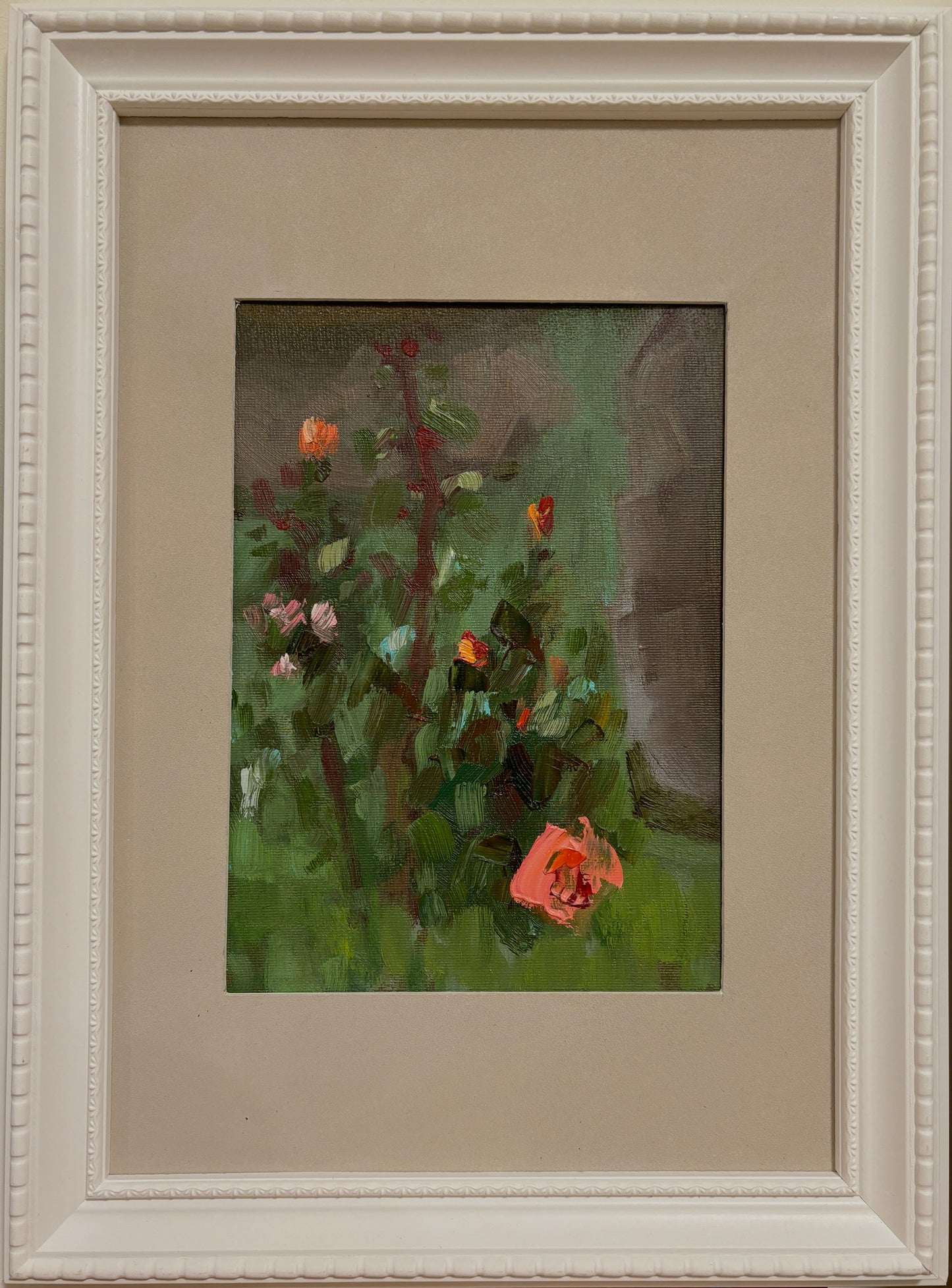 A Moment of the Rose