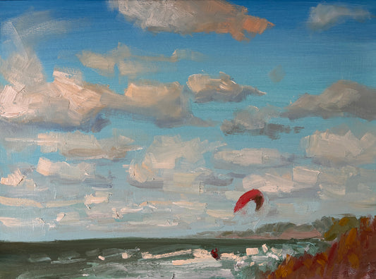 Windy day by the sea